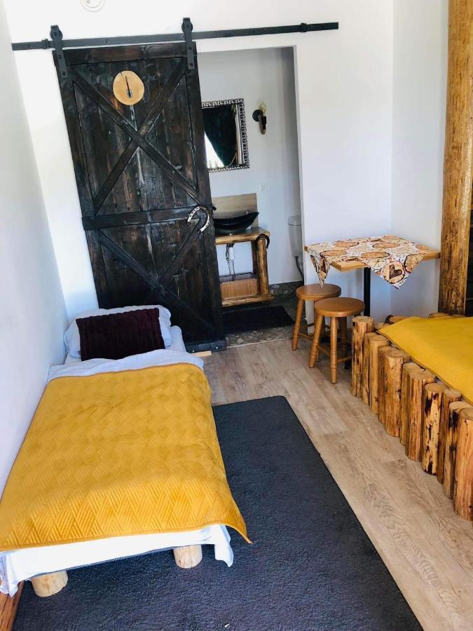 Rochowa Buznica Zakopane Buitenkant foto